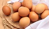 بهترین روش برای تشخیص سن تخم مرغ 